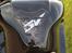 Suzuki SV1000s.....