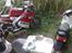 PGO t rex 110 ccm