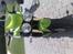 Triumph Speed Triple