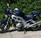 Suzuki SV 1000 N