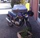 Honda CB 500 (SOLGT)