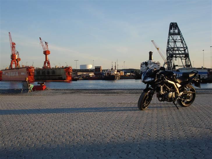 Suzuki SV650SK9 - 31. maj 2009 billede 11