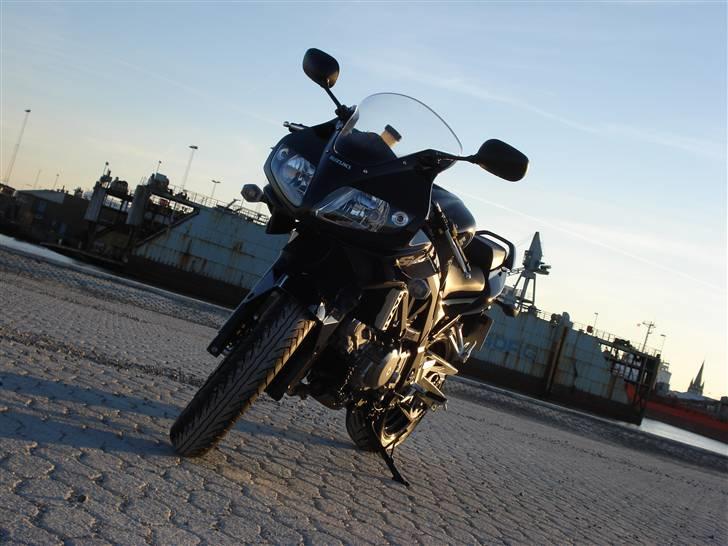 Suzuki SV650SK9 - 31. maj 2009 billede 13