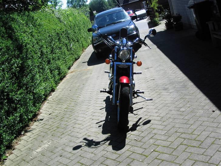 Honda Shadow ** SOLGT ** billede 10