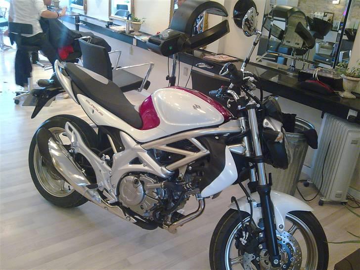 Suzuki Gladius sfv 650-solgt - Det regnede, så den måtte ind og stå i salonen hvor jeg arbejder. :-D billede 2