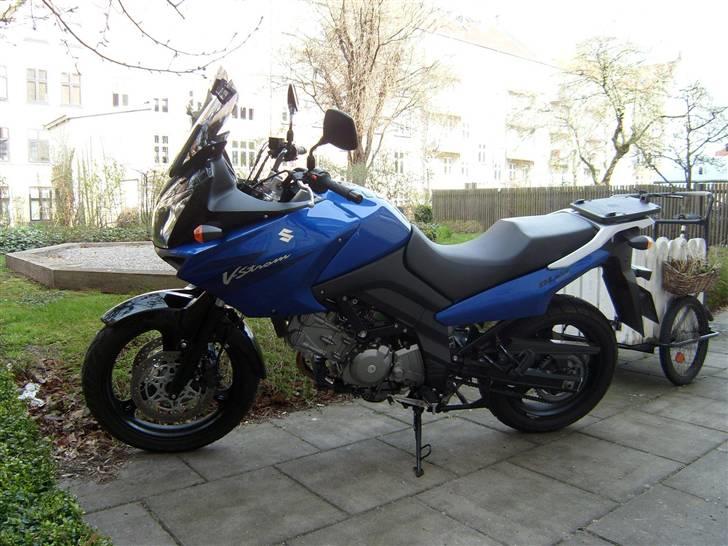 Suzuki DL 650 V-Strom billede 1