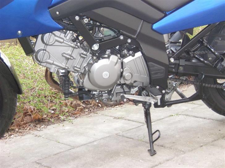Suzuki DL 650 V-Strom billede 2