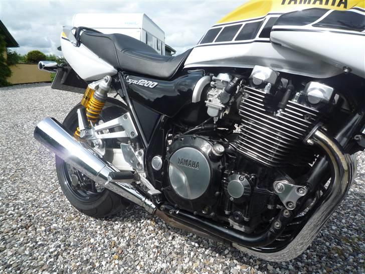 Yamaha XJR 1200 SP Kenny Roberts - Herfra leveres de massive kræfter billede 3