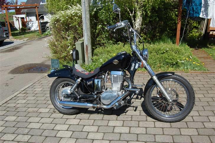 Suzuki LS 650 Savage - Som den ser ud til sommeren 2009 billede 1