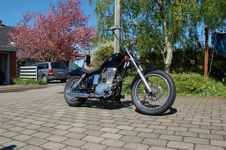 Suzuki LS 650 Savage - Som den ser ud til sommeren 2009 billede 10