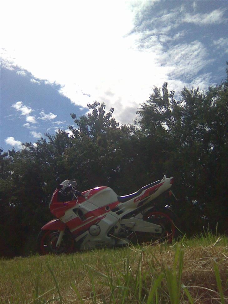 Honda cbr 600 f2 sport (pc25) billede 12