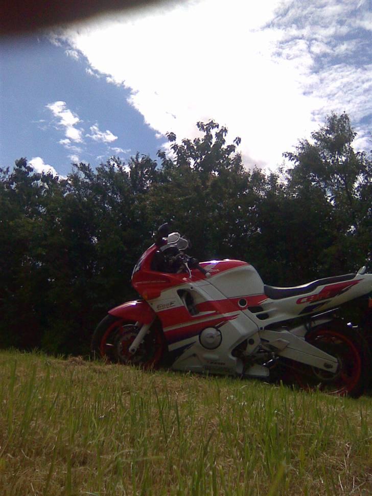 Honda cbr 600 f2 sport (pc25) billede 13