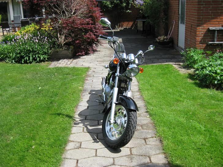 Dorton XT 250-16 billede 2