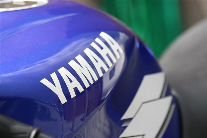 Yamaha yzf r6 billede 15