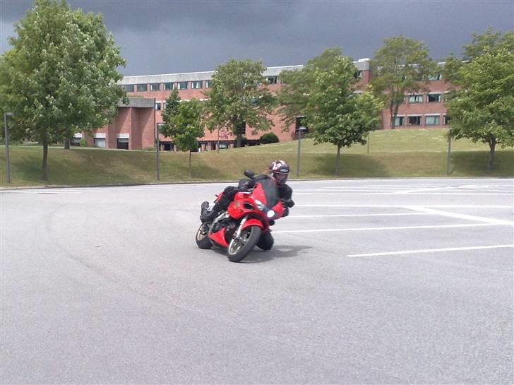 Suzuki TL1000S - wroumm wroumm billede 13