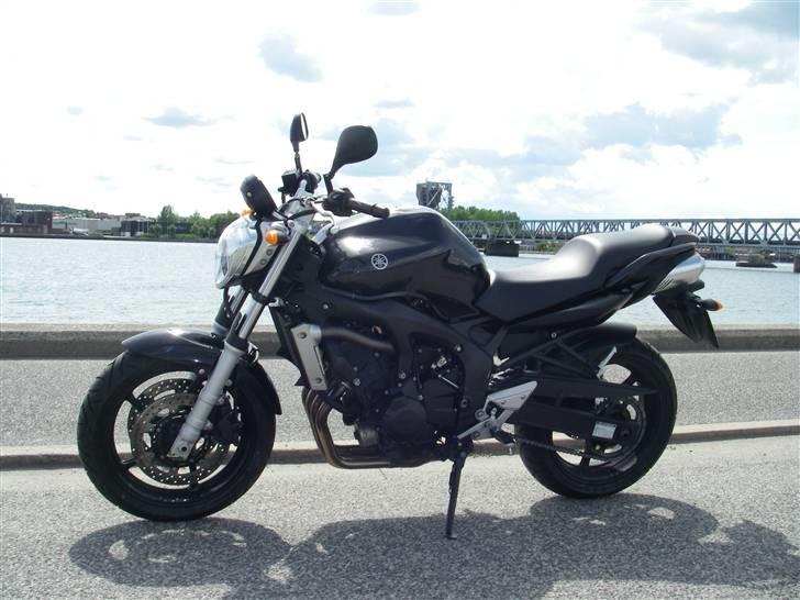 Yamaha FZ6-N (Solgt) billede 1