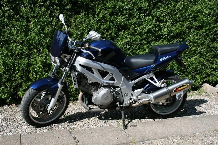 Suzuki SV 1000 N billede 1