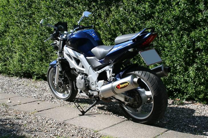 Suzuki SV 1000 N billede 2