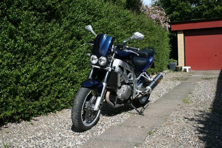 Suzuki SV 1000 N billede 3