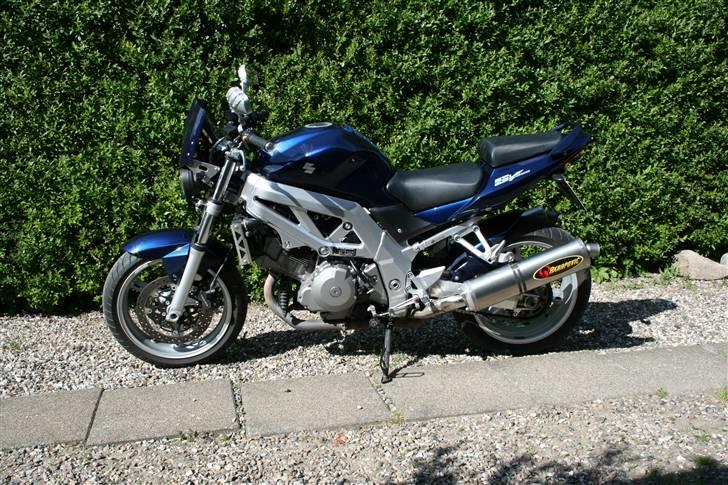 Suzuki SV 1000 N billede 4