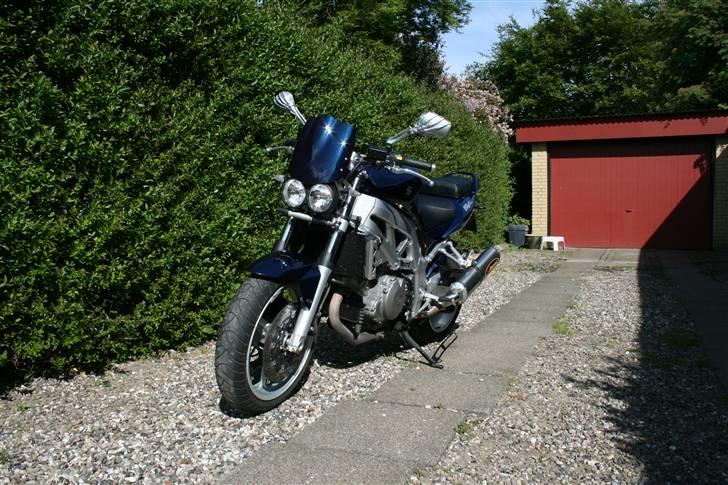 Suzuki SV 1000 N billede 5