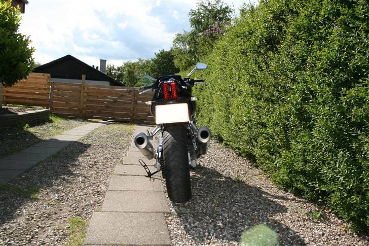 Suzuki SV 1000 N billede 6