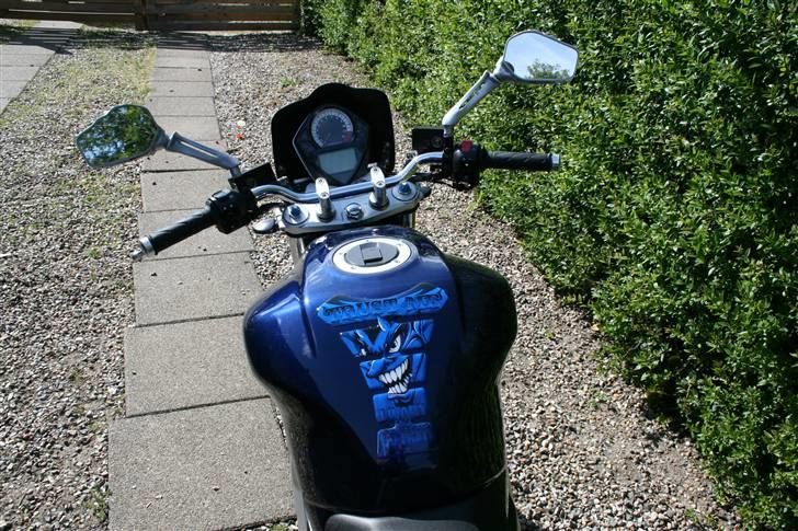Suzuki SV 1000 N billede 7