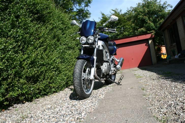 Suzuki SV 1000 N billede 10