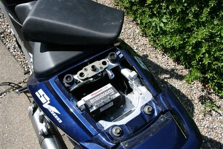 Suzuki SV 1000 N billede 11