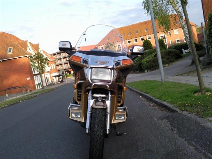 Honda Goldwing1200LTD Hyllested billede 18