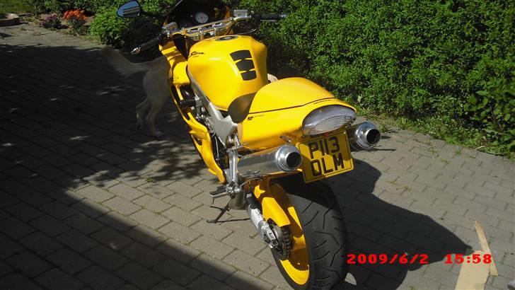 Honda vtr firestorm til salg billede 2