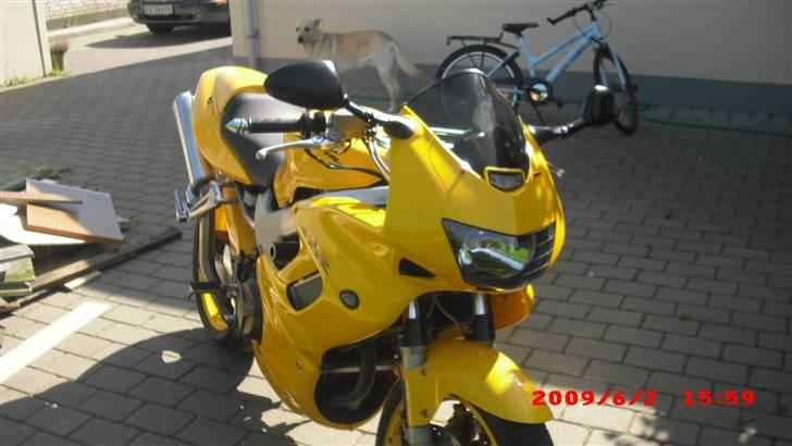 Honda vtr firestorm til salg billede 5