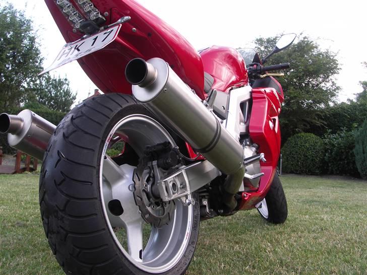 Suzuki  "SOLGT" SV1000S - SV,ern i haven forår 2010 billede 8