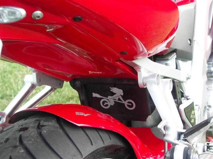 Suzuki  "SOLGT" SV1000S - Hugger fra Ermax med SV mærker & HEKSEN fra Harzen billede 10