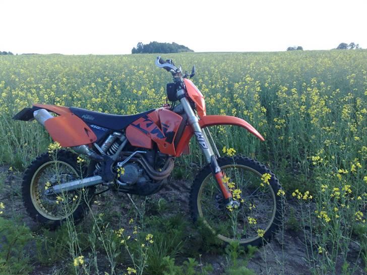 KTM 450 EXC  Solgt - Testkørsel rundt om garagen.. billede 4