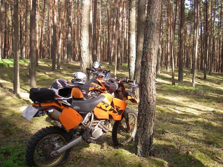 KTM 450 EXC  Solgt - Velfortjent pause (Polen 2009) billede 7