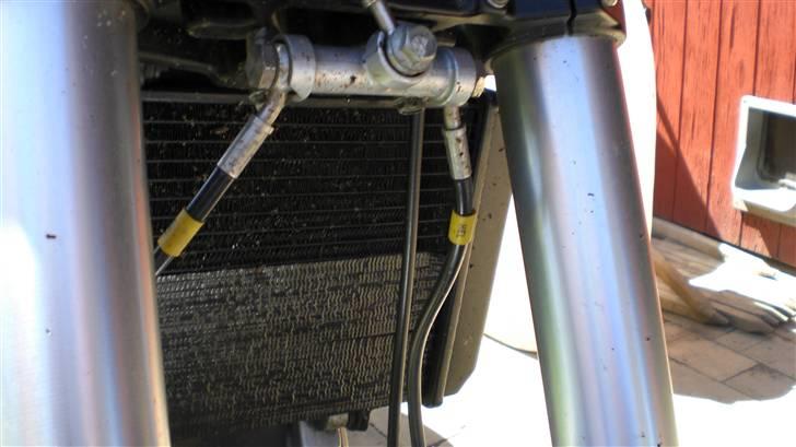 Hyosung gt 650 billede 20