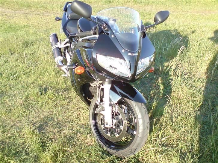 Suzuki SV1000sk7 (Til salg) billede 3