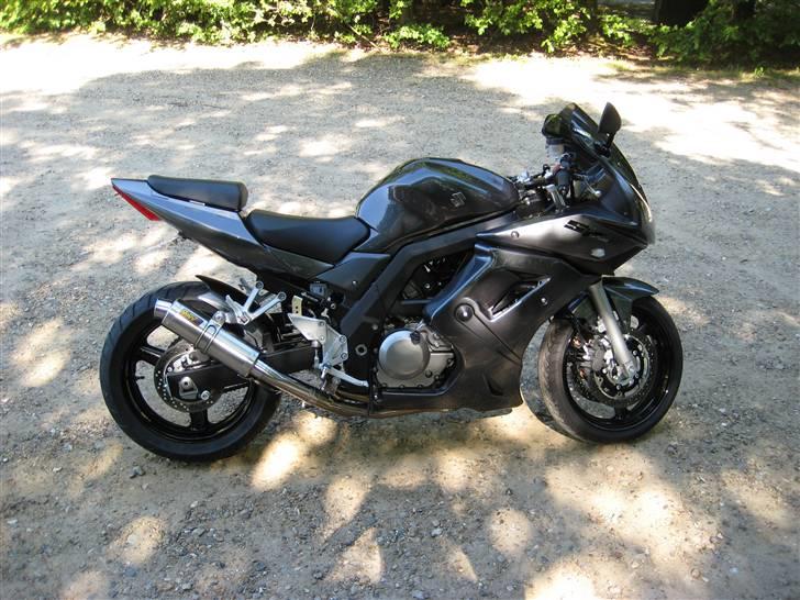 Suzuki SV 650 "SOLGT" billede 1