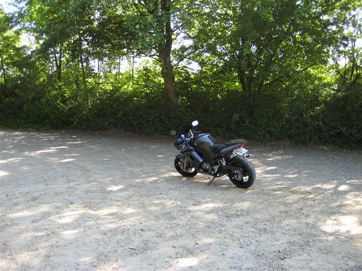 Suzuki SV 650 "SOLGT" billede 6