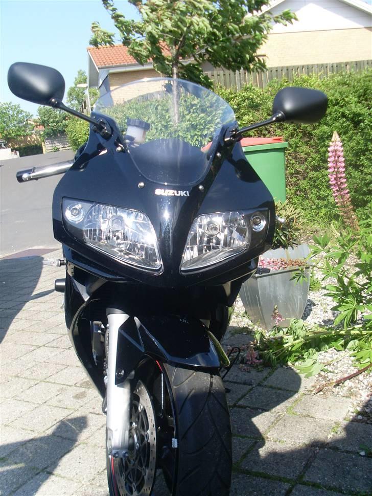 Suzuki SV1000 billede 2