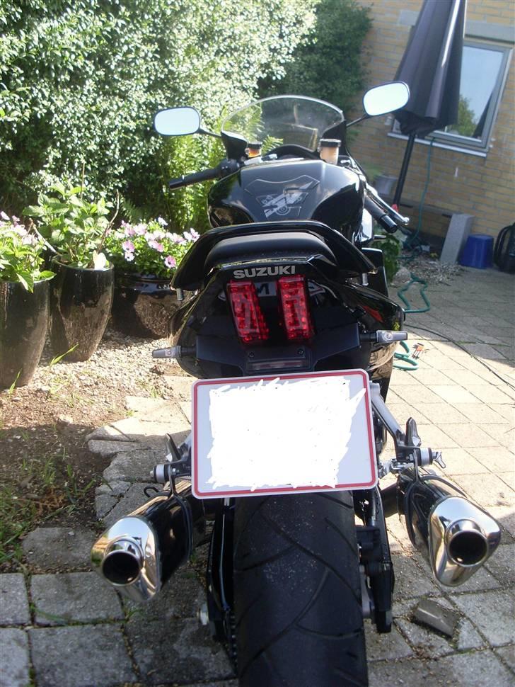 Suzuki SV1000 billede 3