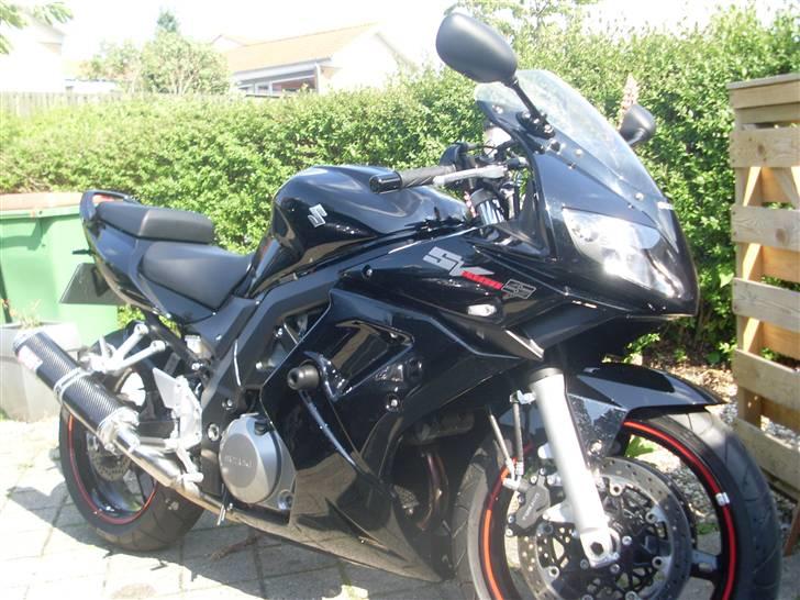 Suzuki SV1000 billede 6