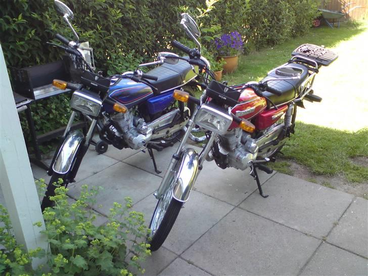 Haojin HJ-125 / (Tyren´s) BANDIT, - Her ses min nye Haojin sammen med min rat bike. billede 10