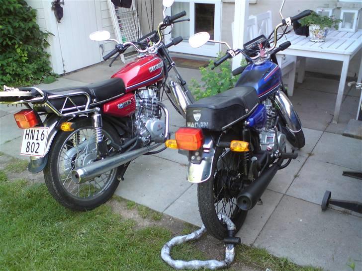 Haojin HJ-125 / (Tyren´s) BANDIT, - Her ses min nye Haojin sammen med min rat bike. billede 12