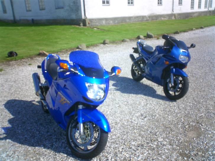 Honda cbr1100xx billede 4