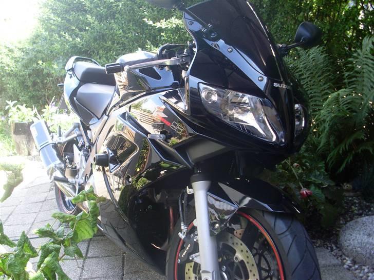 Suzuki SV1000 billede 9