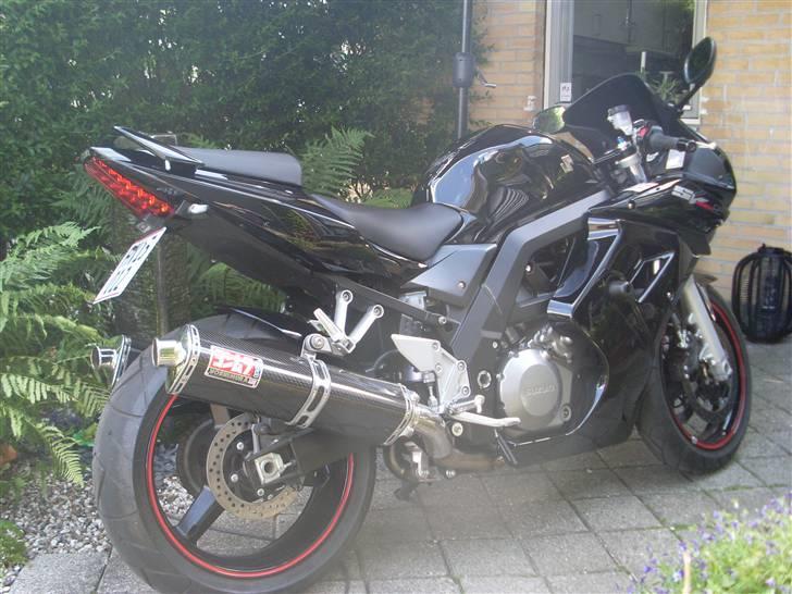 Suzuki SV1000 billede 10