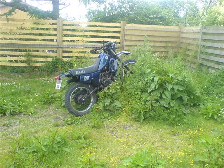 Yamaha dt 125  - off rodt er den sjov til  billede 6