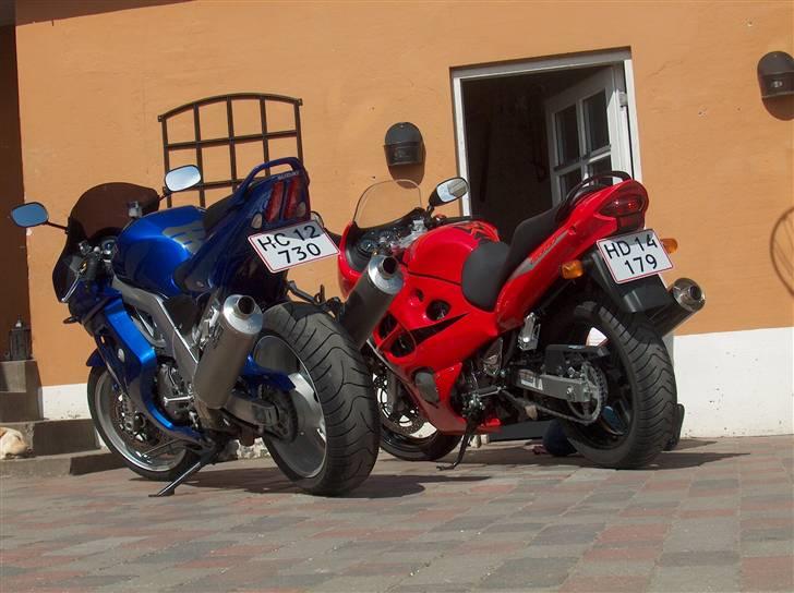 Suzuki SV1000S - Det er konens den røde.. he..he... billede 6